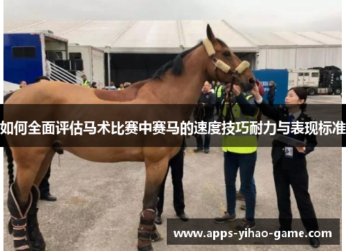 如何全面评估马术比赛中赛马的速度技巧耐力与表现标准 如何全面评估马术比赛中赛马的速度技巧耐力与表现标准