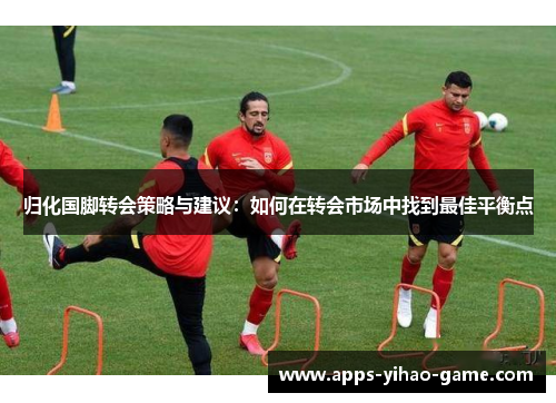 归化国脚转会策略与建议:如何在转会市场中找到最佳平衡点 归化国脚转会策略与建议:如何在转会市场中找到最佳平衡点