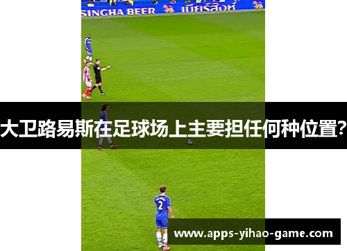 大卫路易斯在足球场上主要担任何种位置？